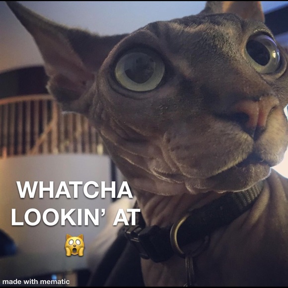 OUR CLOSET RULES - Picture 3 of 9